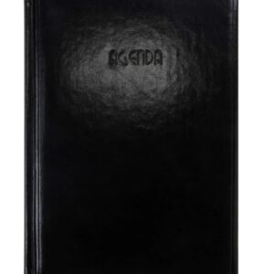 Inicio agenda