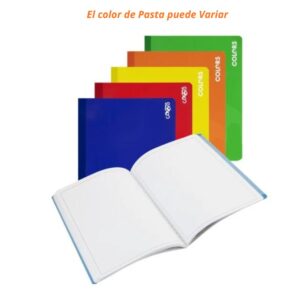 paginas (6)